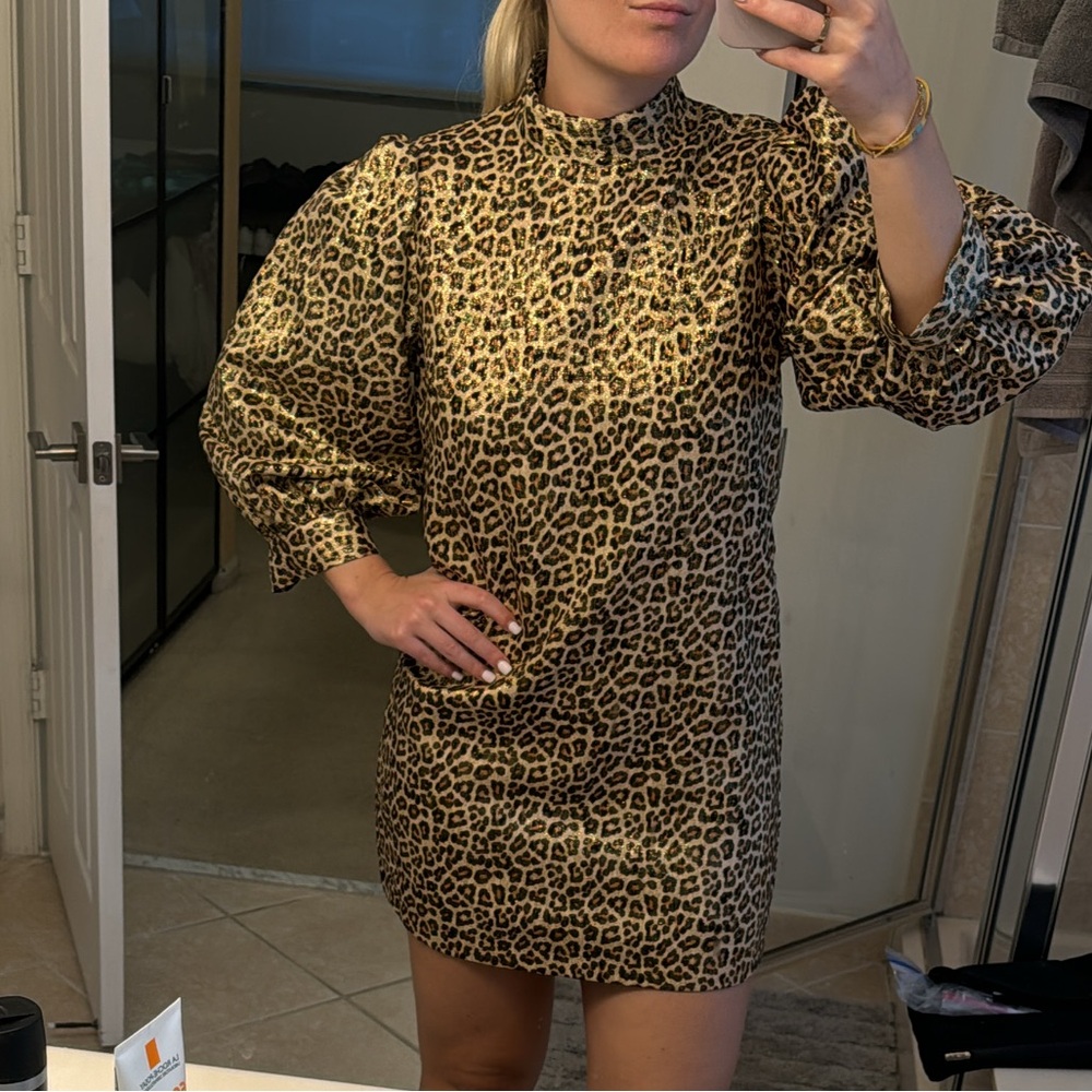 Zara Leopard-Print Mini Dress in Brown and Black